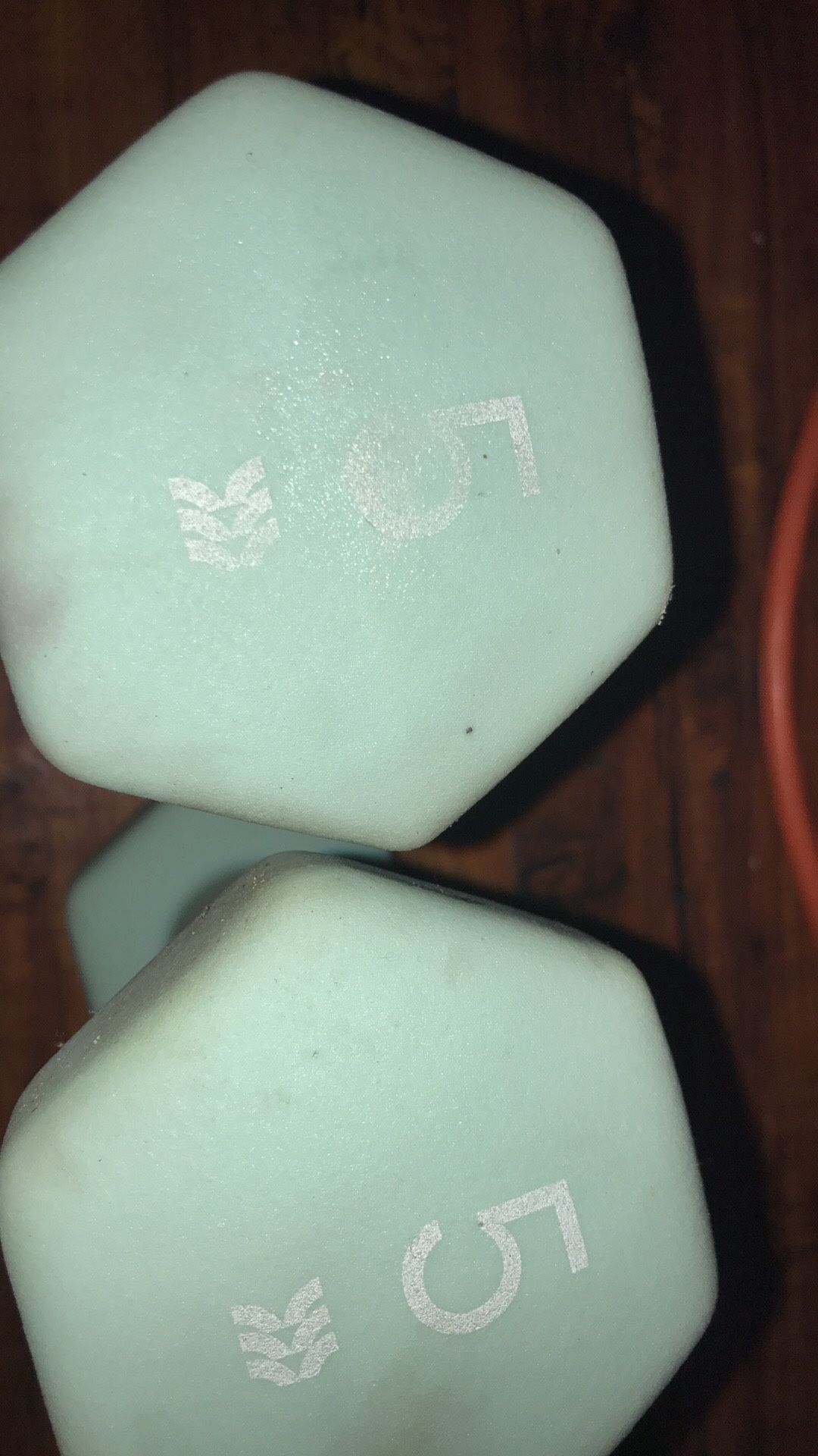 5lb weights