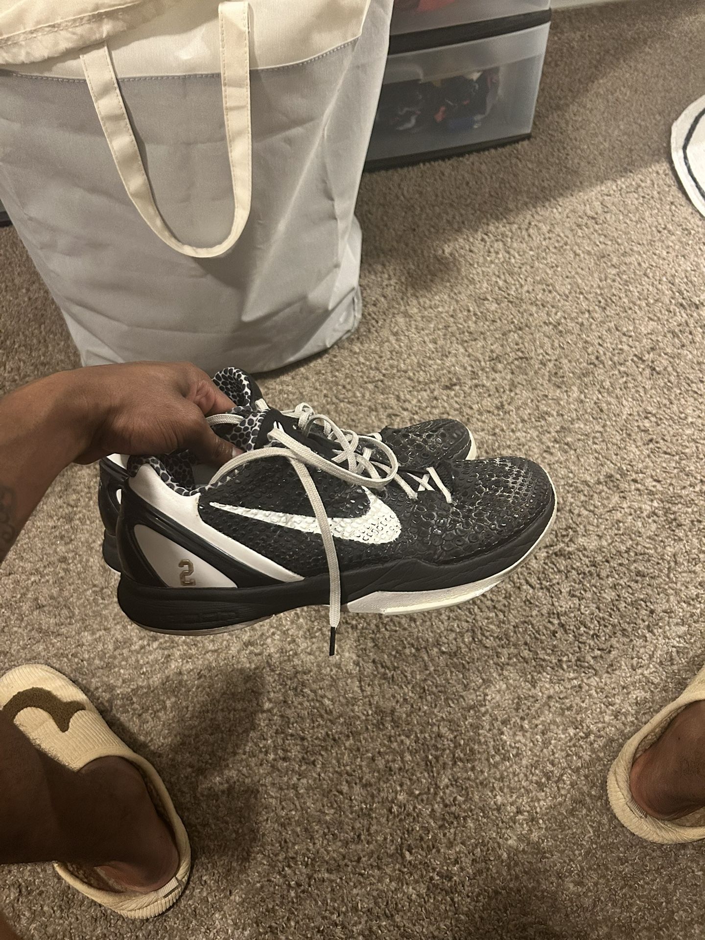 Kobe 6 Mambacitas Sz 11