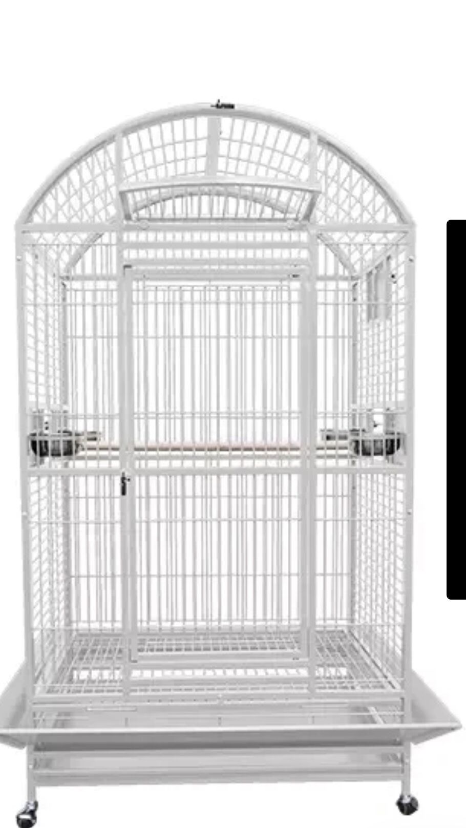 Parrot Cage