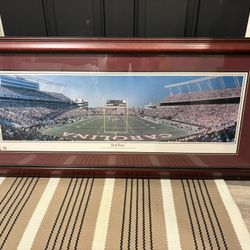Williams Brice Stadium Picture 