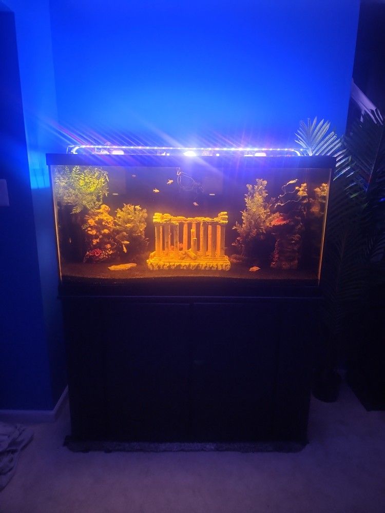 90 Gallon Aquarium 