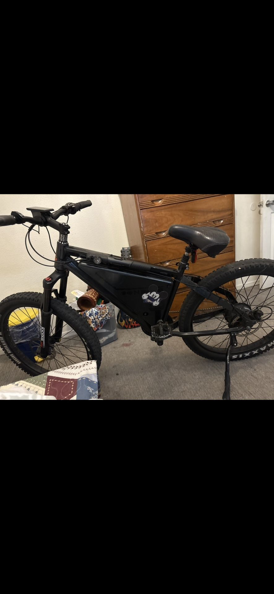 Electric Bike