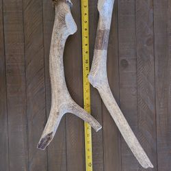 Elk Antler Dog Chews - XXL
