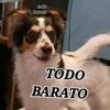 Todo  Barato. Up To 50% OFF.