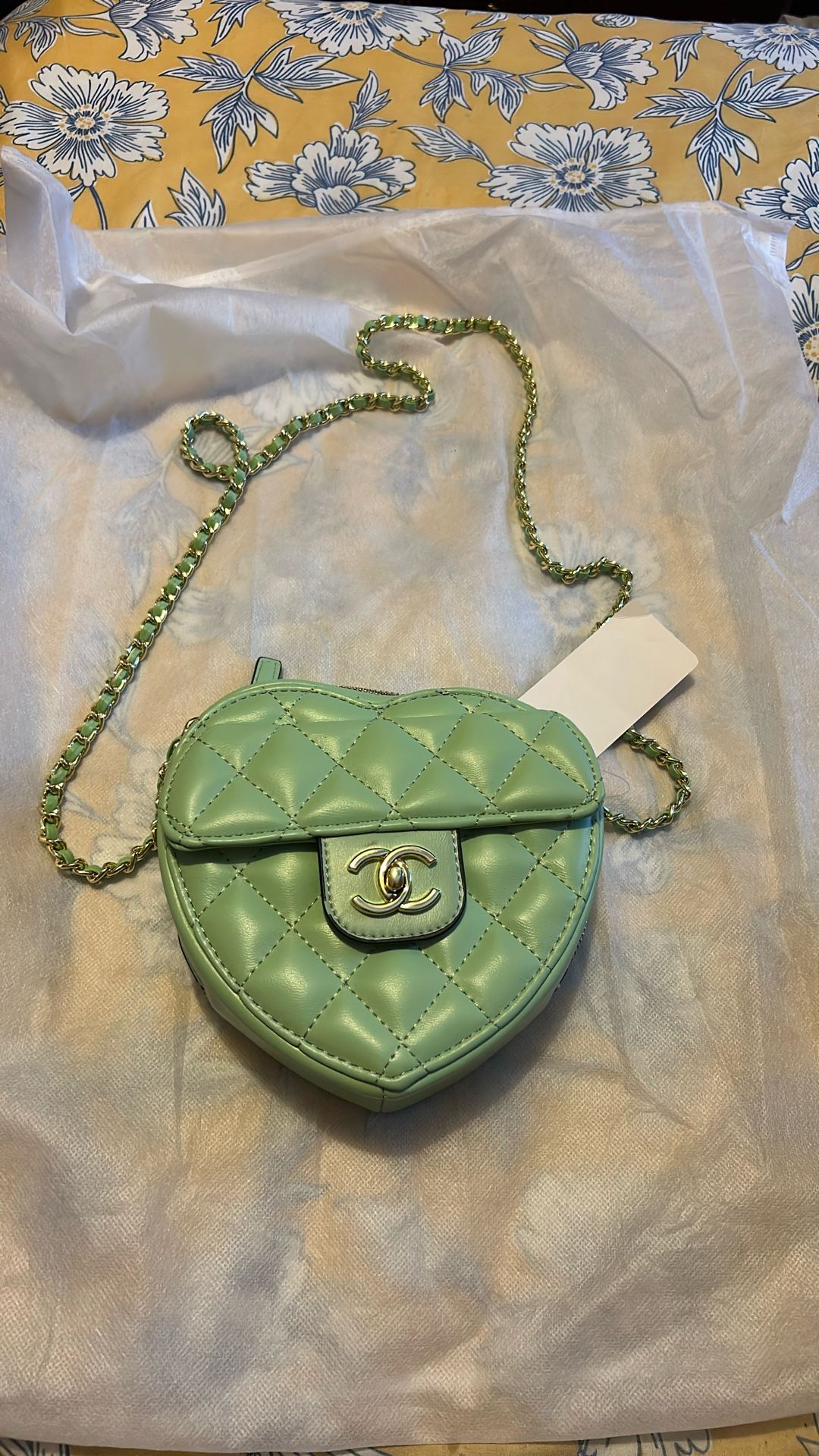 Mint Green Heart Desinger Bag