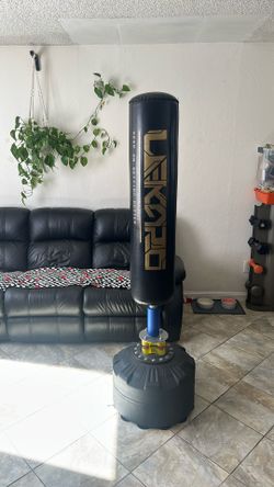 Boxing Punching Bag