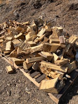 DRY FIREWOOD [SPECIAL]
