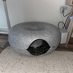 Cat Tunnel / Donut 