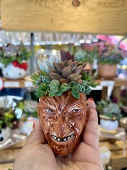 Freddy Krueger Succulent Arrangement 