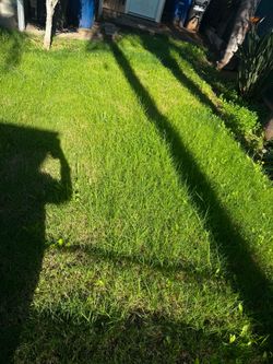 Jardinero