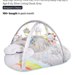 Clean Skip Hop Baby Play Gym