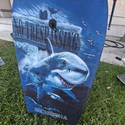 Shark Boogie Board 🦈