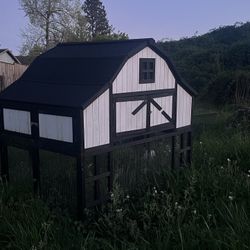 Chicken Coop Setup 