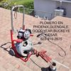 Cesar
