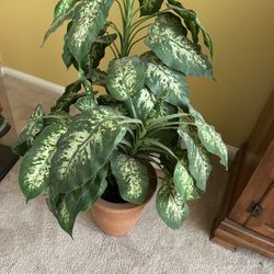 Fake Plant 