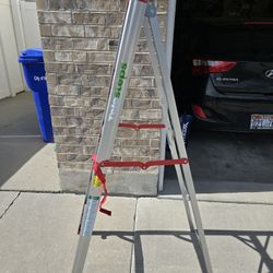 Sells for $170 new
Venmo accepted 
The Telesteps 500FLS Single-Sided “STIK” Step Ladder is your ultra-lightweight, ultra-compact solution for everyda