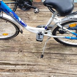 Pedal Assist Bike/ Bicycle Step Thru