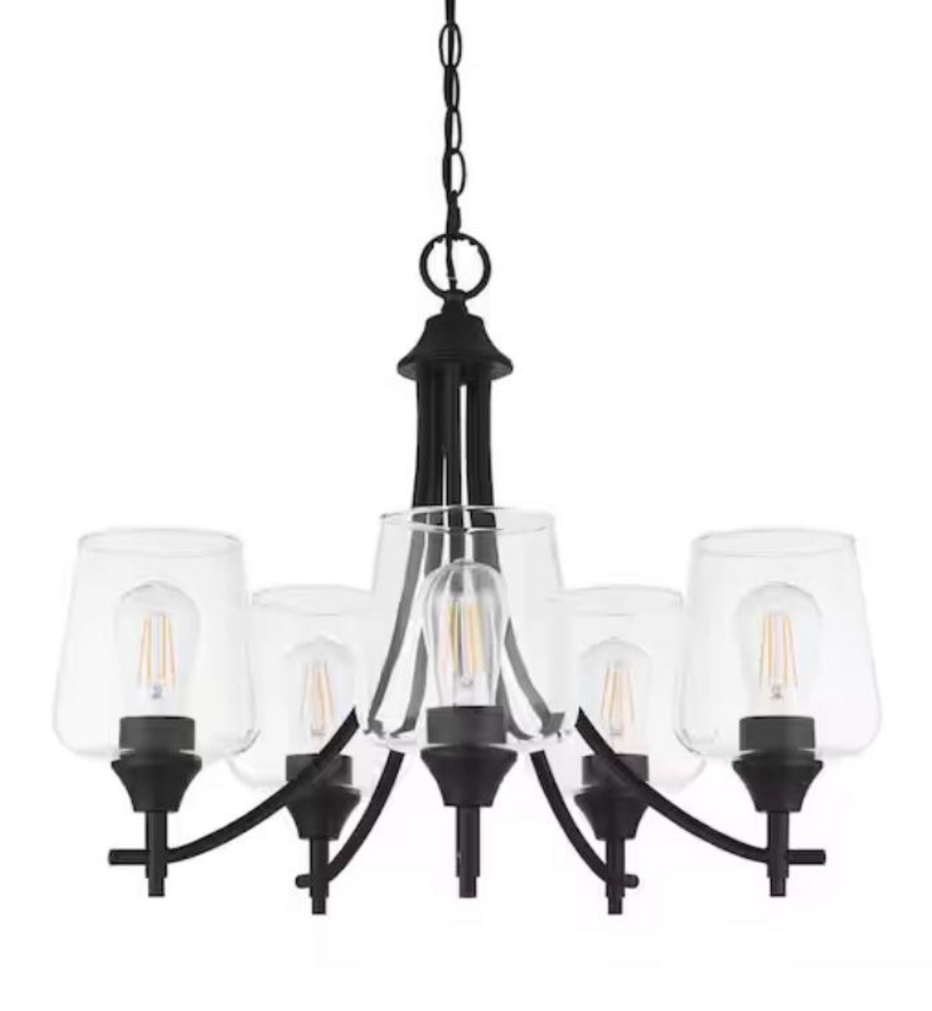 23 in. 5-Light Black Chandelier with Clear Glass Shades