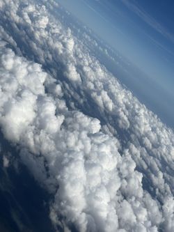 iPhone 📱 Tik Tok Installed