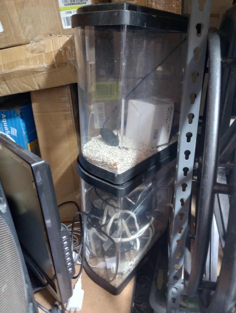 2 FISH TANKS WITH ACCESSORIES