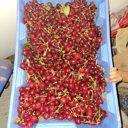 Bing 🍒