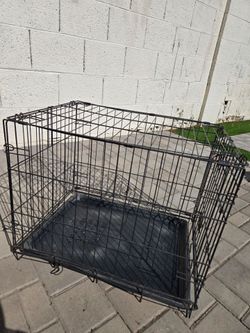 Kennels