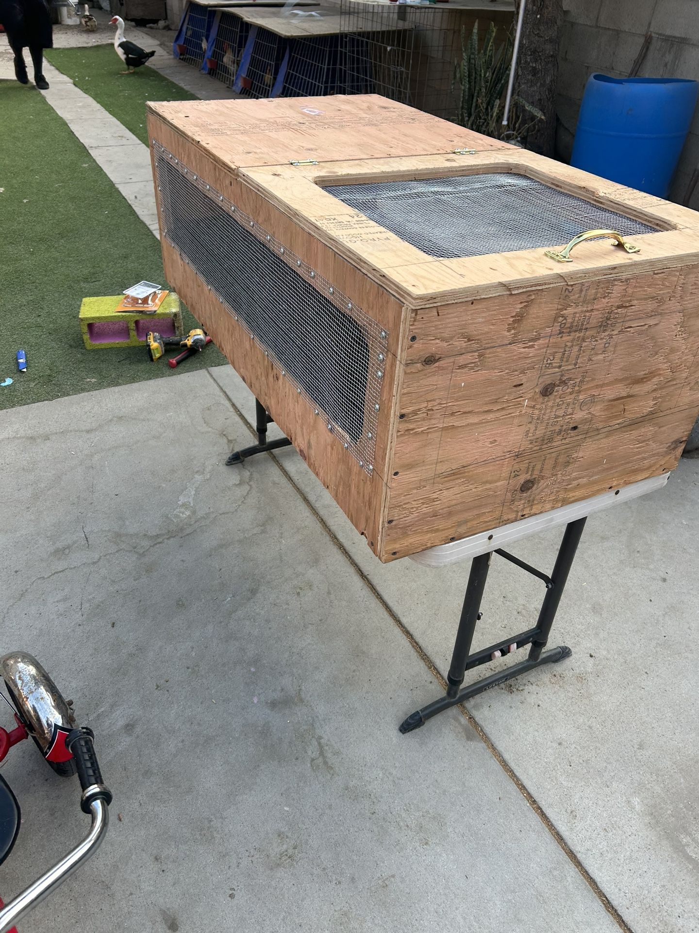 Custom Sulcata Turtle Enclosure