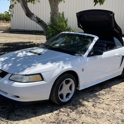 Ford Mustang GT -1999 