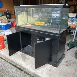 75 Gallon Fish Tank
