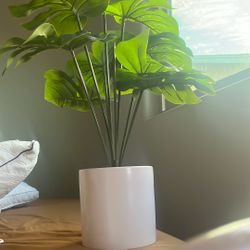 Fake Plant 