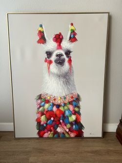 Llama Picture