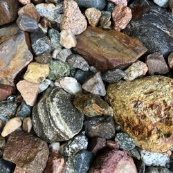Handpicked River Rock For Gardens Or Projects