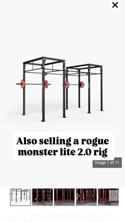 Rogue rig