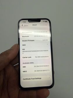 iPhone 13 factory unlocked crack back