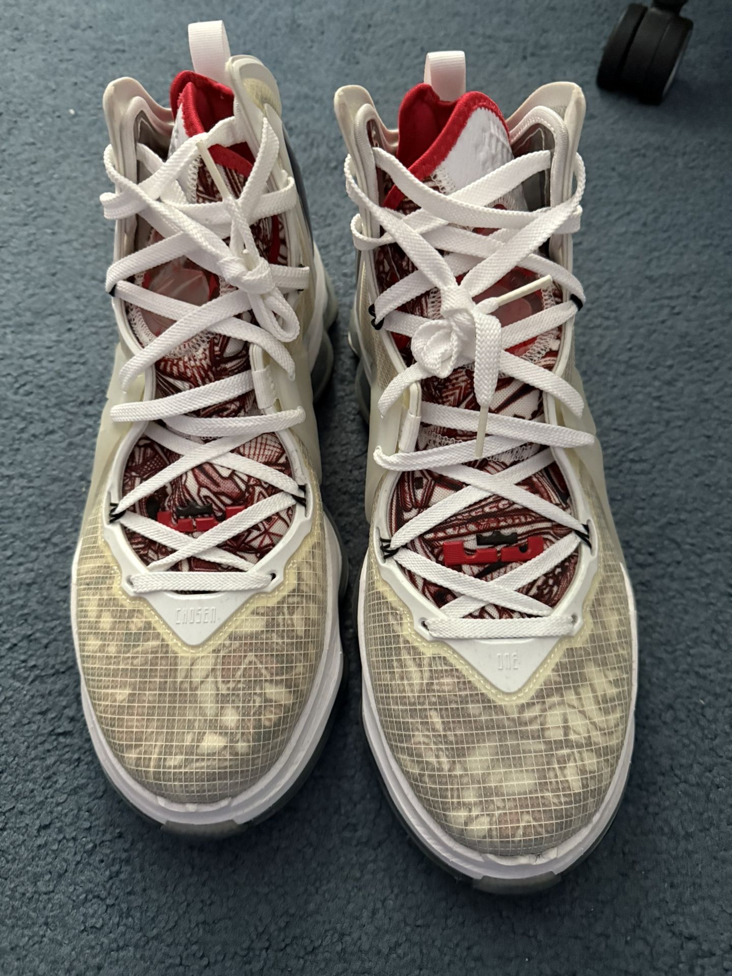 LeBron 19 Basketball Shoes Brand New