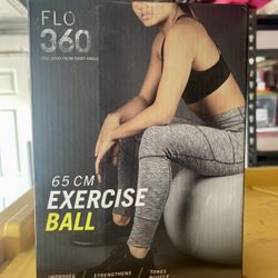 Exercise Ball 