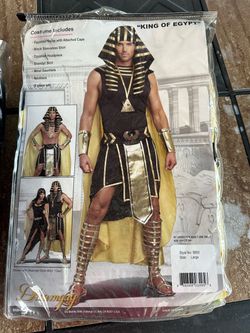 King of Egypt costume