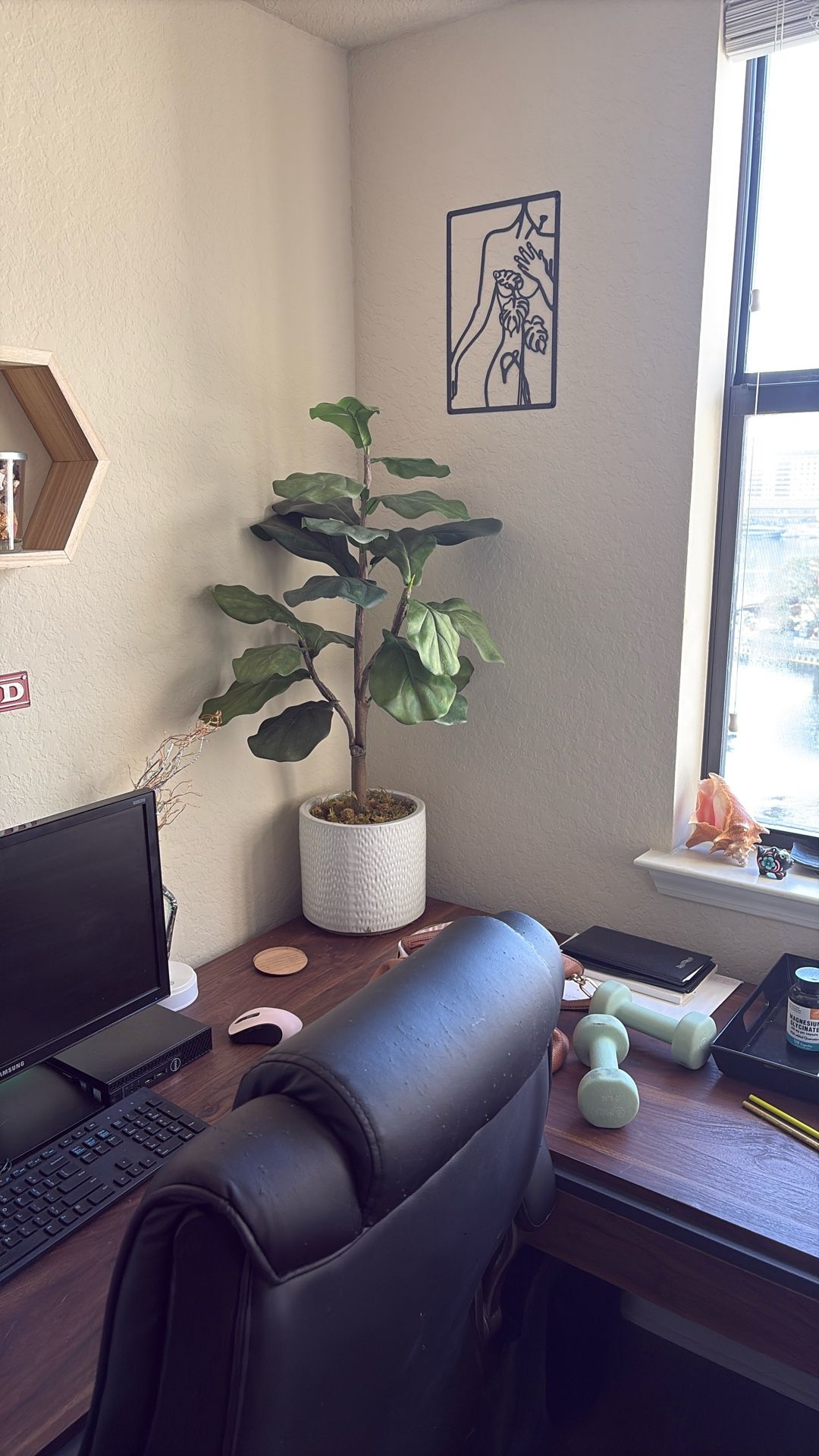 Faux Fiddle Leaf Fig