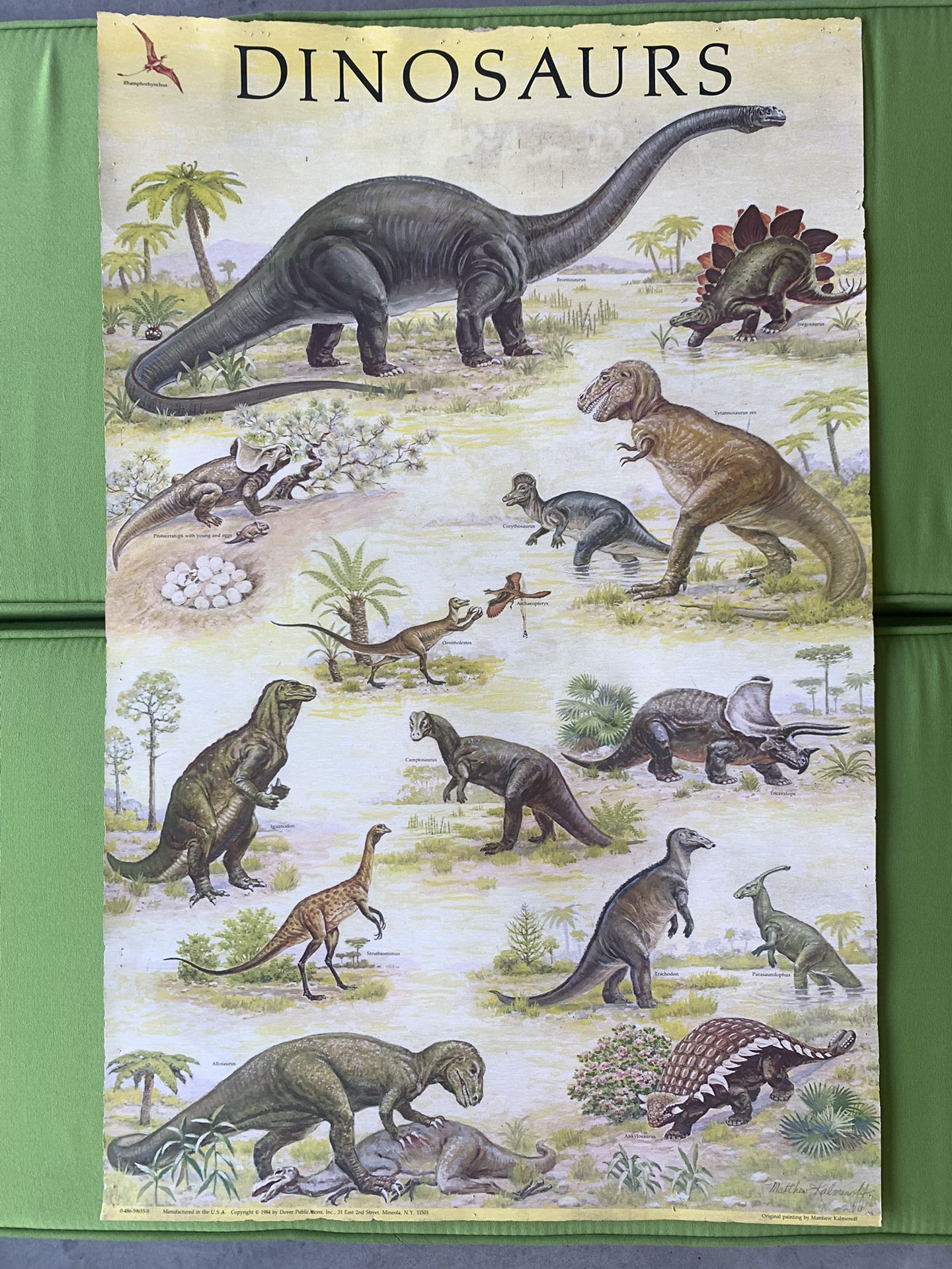 Vintage Dinosaur Poster Artist Matthew Kalmenoff