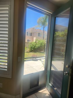 Custom Size Screen Door With Dog Door