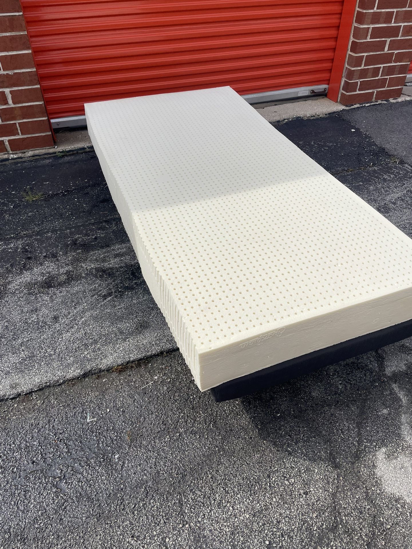 9in Foam Latex Twin Bed
