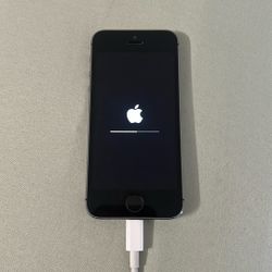 Apple iPhone 5s BAD Battery 
