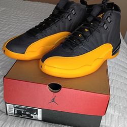 Jordan 12