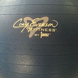 Ab/Core Workout Ball