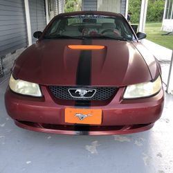 1999 Ford Mustang