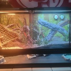 60 gallon terrarium 