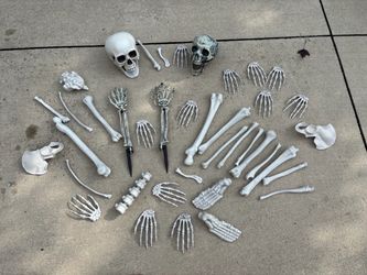 Largs Lot of Halloween Skeleton Bones. **READ BELOW (Johnstown Ohio)