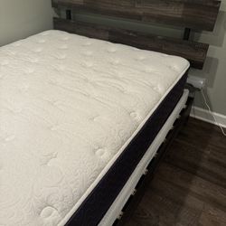 Queen Size Bed, Mattress, and Box Spring 