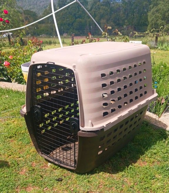 XXL Petmate Dog Porter Kennel Crate 