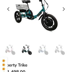 Electric Trike Mobility 